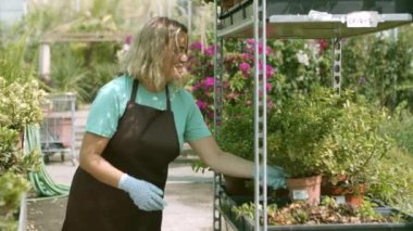 Mutlu kadın sera sahibi ev bitkileri seçiyor.