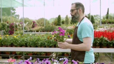 Orta yaşlı erkek çiçekçi elinde saksı çiçeği ve selfie çekiyor.