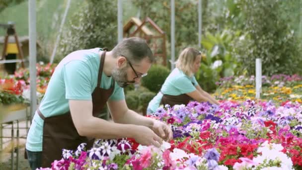 エプロンを着た庭師や植物の専門家 — ストック動画