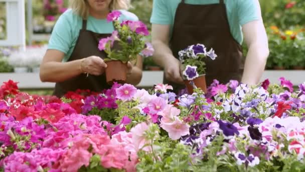 Mitarbeiter eines Blumengeschäfts tragen Schürzen — Stockvideo