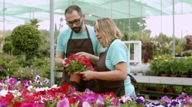 Mutlu çiçekçiler cep telefonuyla petunya bitkisinin fotoğrafını çekiyor.