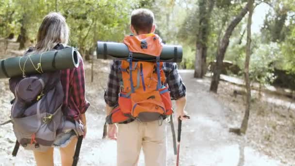 Back view of hikers carrying camping backpacks — Stock Video