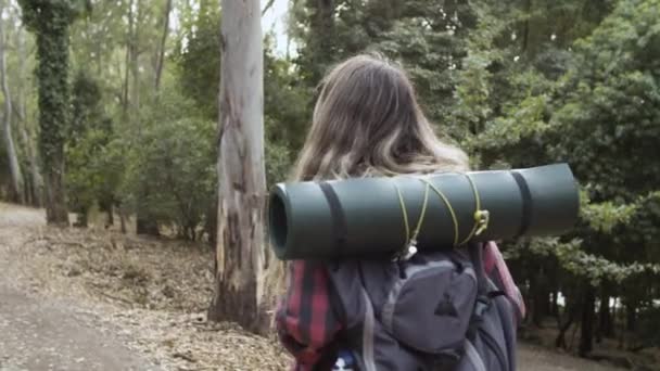 Couple of backpackers walking on forest footpath — Stock Video