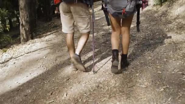 Fotvandrarnas ben i campingryggsäckar — Stockvideo