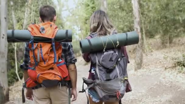 Rückansicht von Wanderern mit Campingrucksäcken — Stockvideo