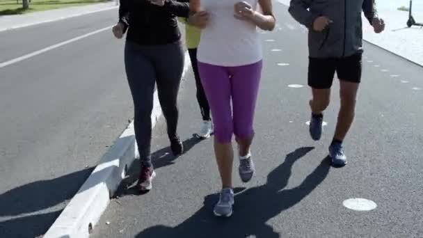 Active older joggers running on promenade — Stock Video