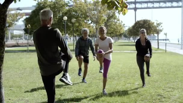 Rentnergruppe genießt Outdoor-Training — Stockvideo