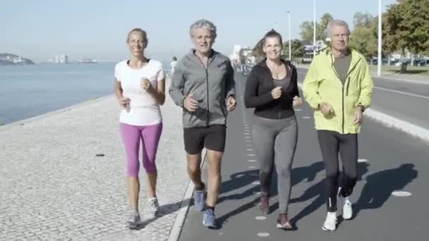 Healthy group of mature people jogging on road near sea — Stock Video
