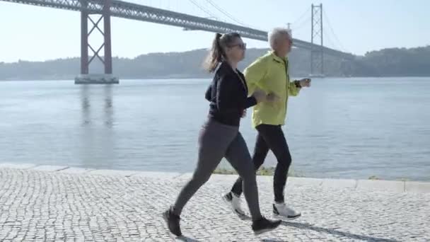 Active runners training together near water in sunny day — Stock Video