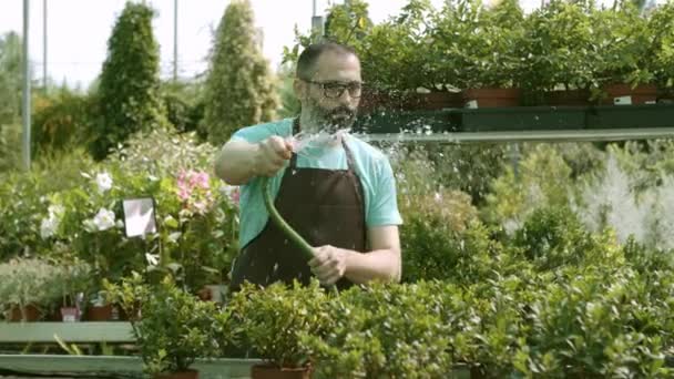 Латиноамериканский садовник, заботящийся о растениях — стоковое видео