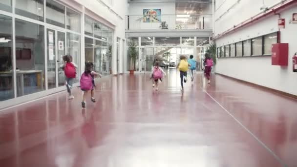 Groupe d'enfants d'âges différents qui s'amusent à l'école. — Video