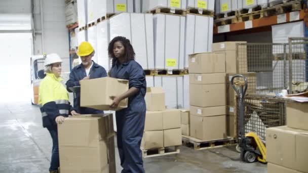 Focused African American female employee working in warehouse. — Αρχείο Βίντεο