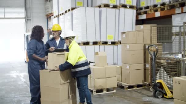 Jefa enfocada y trabajadoras que trabajan en almacén. — Vídeos de Stock