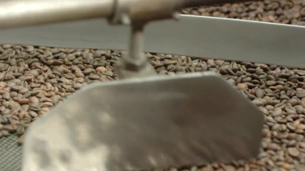 Close-up of coffee beans mixing and drying on spinning mechanism — Stok Video