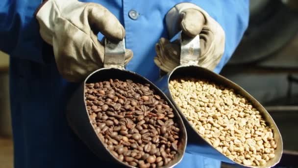 Slider of man holding cups with brown and green coffee beans — Stock Video