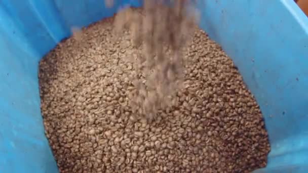 Primer plano de granos de café que caen del tubo en la caja — Vídeos de Stock
