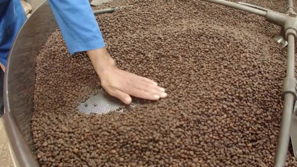 A dolgozók ellenőrzik a kávébab hőmérsékletét a gyárban. — Stock videók