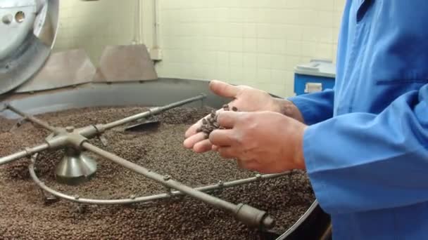 Slow motion of worker picking up beans from spinning machine — Stock Video