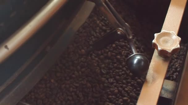 Roasted brown coffee beans falling out of machine — Stock Video