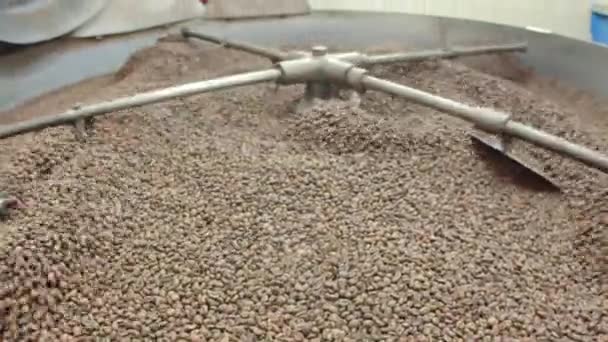 Medium shot of mixing raw coffee beans on spinning mechanism — Stock Video