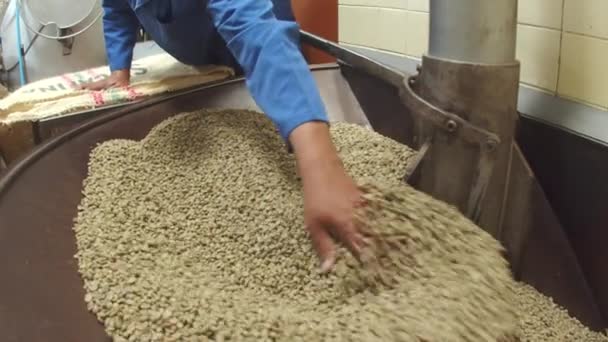 Slow motion of workers hands distributing coffee beans — Stock Video