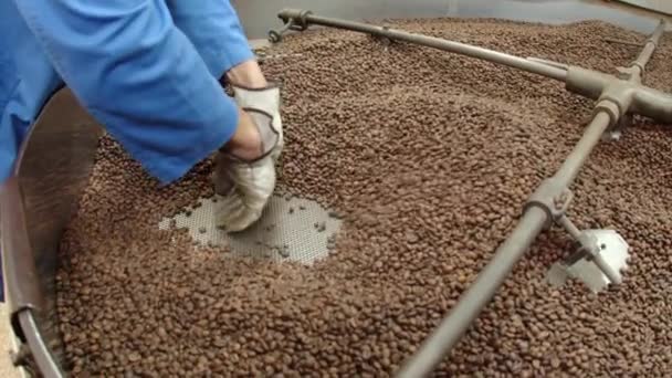 Slow motion of mans hands mixing coffee beans — Stock Video