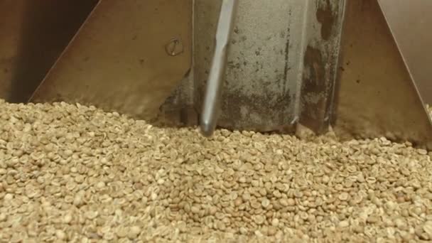 Movimento lento de grãos de café Arabica cru na máquina de torrefação — Vídeo de Stock