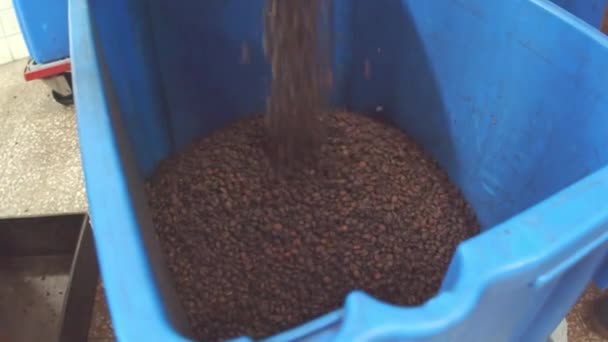 Biji-bijian kopi harum jatuh ke dalam wadah — Stok Video