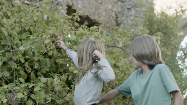Widok z boku chłopca i dziewczyny próbuje odebrać dojrzałe jagody z krzaków — Wideo stockowe
