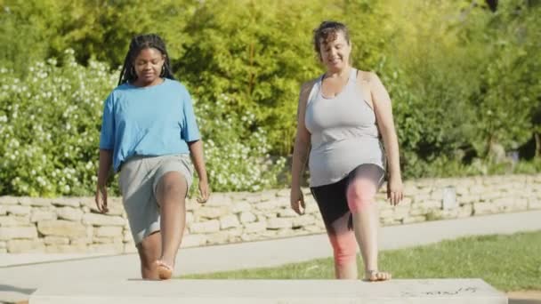 Vue de face des femmes grasses heureuses étirant les jambes ensemble à l'extérieur — Video