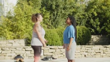 Parkta yoga yapan çok ırklı tombul kadınların dikey hareketi