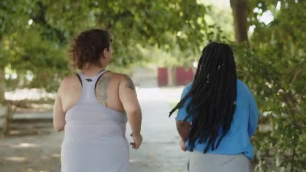 Обратный вид толстых многоэтнических женщин, бегающих по дорожке в парке — стоковое видео