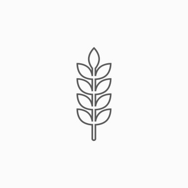 Buğday ikonu, pirinç ikonu, tahıl vektörü, alan vektörü, ürün illüstrasyonu, yiyecek