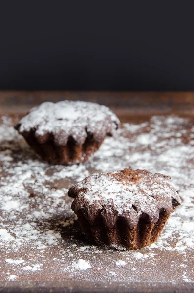 Muffins σοκολάτας πασπαλισμένα με ζάχαρη άχνη — Φωτογραφία Αρχείου