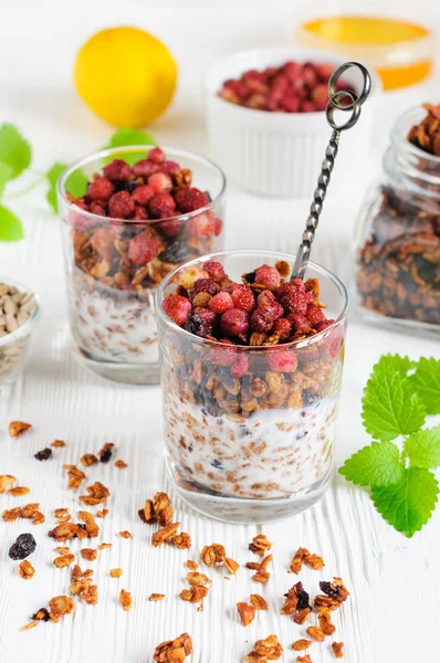 Granola buatan sendiri dengan yogurt dan buah beri liar — Stok Foto