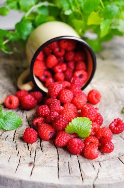 Taze ahududu metal kupa dağınık