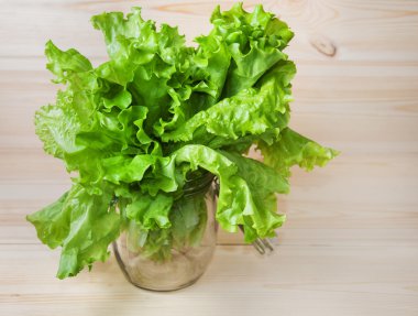 Lettuce in a glass jar