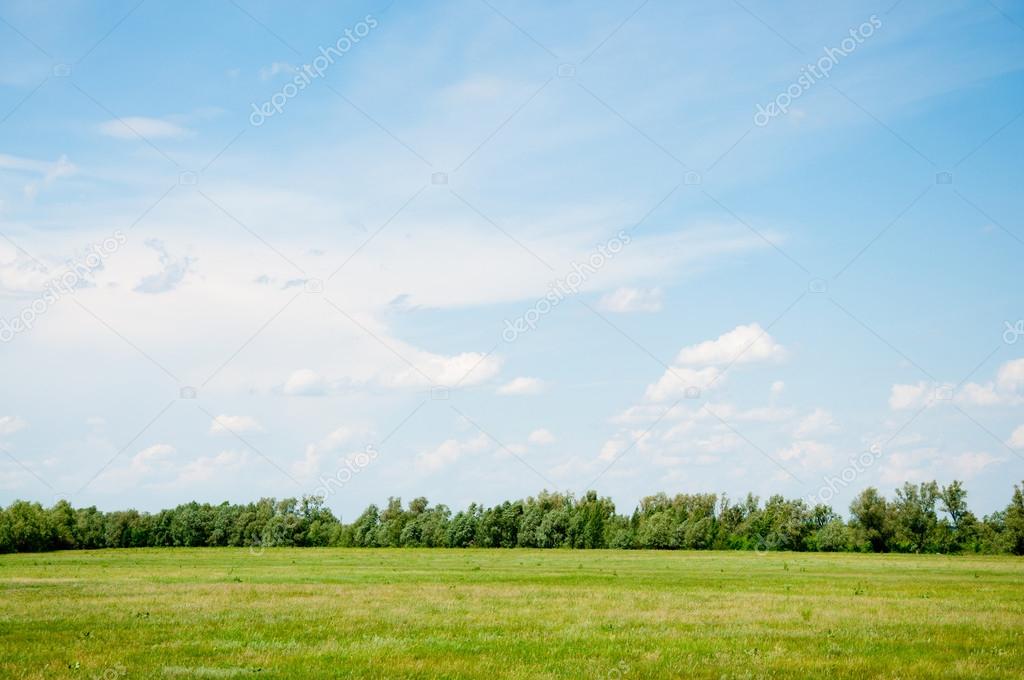 Green meadow under blue sky