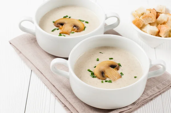 Due ciotole di zuppa di crema di funghi — Foto Stock