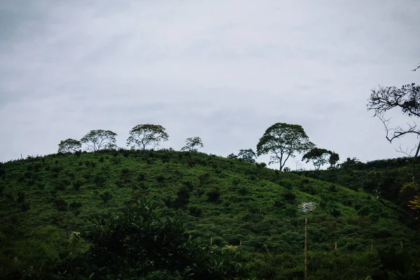 Зеленая Гора Деревьями Голубым Облачным Небом — стоковое фото