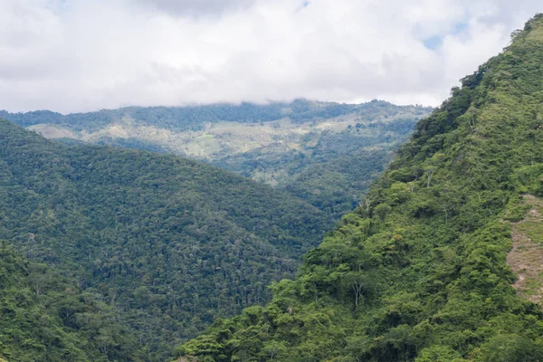 Πράσινα Βουνά Αμαζόνων Και Άσπρη Ομίχλη Μια Συννεφιασμένη Μέρα — Φωτογραφία Αρχείου