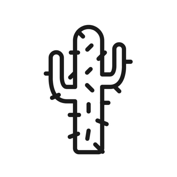 Illustratie Van Een Cactus Met Doornen Witte Achtergrond — Stockfoto