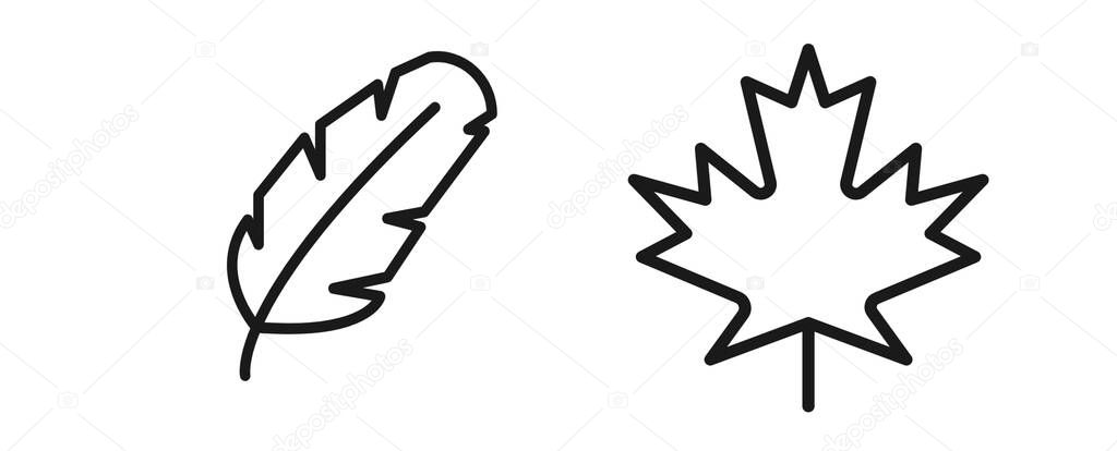 illustration of a set of dry leaves on white background
