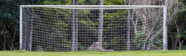 サッカーのゴールは緑の草の白いメッシュで — ストック写真