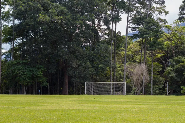 森林と緑の多い地域でのサッカーのゴールは — ストック写真