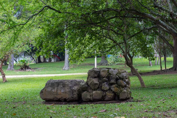 Pietre Antiche Mezzo Alla Foresta Verde — Foto Stock