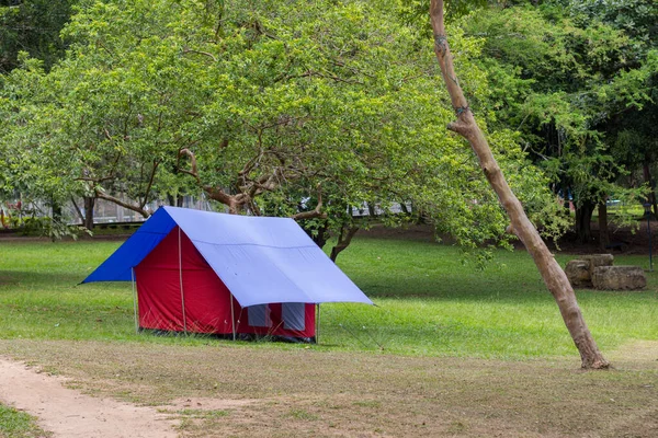 Красно Синий Палаточный Лагерь Лесу — стоковое фото