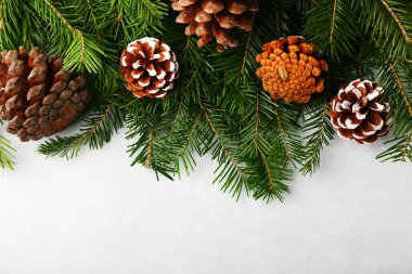 Yılbaşı ağacı ve koni arka planı. Noel arkaplanı