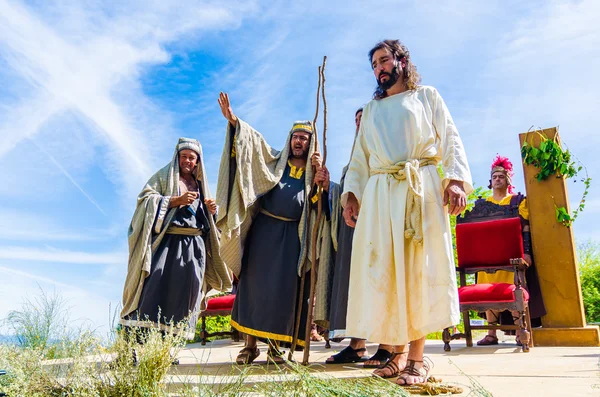 The Passion of the Christ — Stock Photo, Image