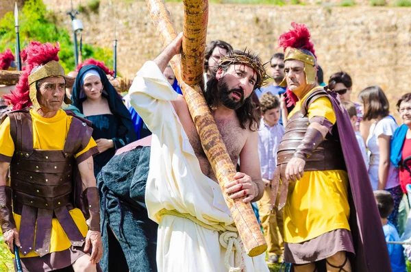 La Passion du Christ — Photo